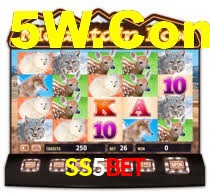 Premium Interface SS5BET